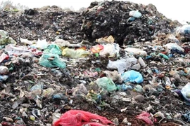 Ảnh chỉ có tính chất minh họa. (Nguồn: Vietnam+) 