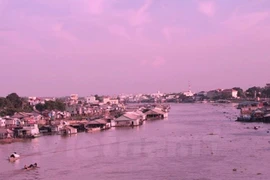 Ảnh chỉ có tính chất minh họa. (Danh Lam/TTXVN)