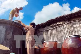 Người dân tỉnh Bến Tre tích nước trong mùa khô hạn. (Nguồn: TTXVN) 