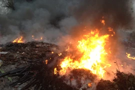 Bãi rác thải tại thôn Quan Độ, xã văn Môn, huyện Yên Phong, tỉnh Bắc Ninh bùng cháy dữ dội trong đêm 9/3/2017. (Ảnh: N.V/Vietnam+)