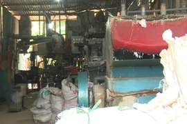 Xưởng sản xuất tạo hạt nhựa của hộ ông Nguyễn Văn Thành tại thôn Dược Hạ, xã Tiên Dược. (Ảnh: Mai Mạnh/Vietnam+)