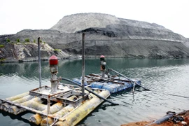 Ảnh chỉ có tính chất minh họa. (Nguồn: TTXVN) 