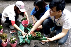 Các bạn trẻ tham gia chương trình "Tô xanh góc nhỏ Thủ đô." (Ảnh: Nguyễn Hà Nam/Vietnam+)