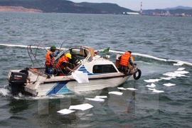 Ảnh chỉ có tính chất minh họa. (Nguồn: TTXVN)