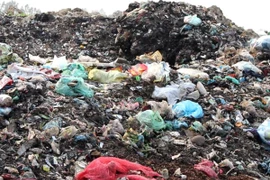 Bãi tập kết rác thải tại thôn Đại Lâm, xã Tam Đa, huyện Yên Phong, tỉnh Bắc Ninh. (Ảnh: Hùng Võ/Vietnam+)