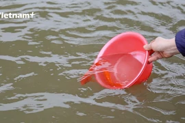 [Video] Muôn cách người dân Hà Nội thả cá chép tiễn Táo quân