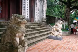 Lực lượng chức năng sẽ di dời các linh vật lạ không đúng quy định