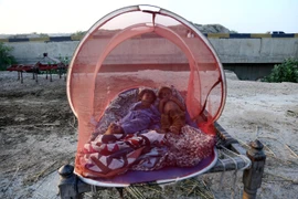 [Photo] Tổng hợp sự kiện quốc tế nổi bật trong tuần qua ảnh