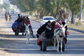 Người dân Palestine sơ tán tránh chiến sự tại miền Nam Dải Gaza, ngày 13/10/2023. (Ảnh: THX/TTXVN)