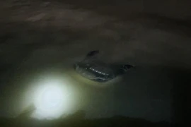 Hiện trường vụ tai nạn. (Nguồn: TTXVN phát) 