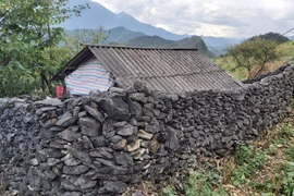 Cận cảnh bờ rào đá - nét kiến trúc độc đáo của người Mông ở Hà Giang