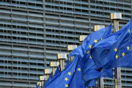 Ảnh minh họa. (Nguồn: PressTV) 