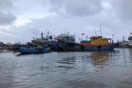 Tàu thuyền vào neo trú tại vũng neo đậu tàu thuyền Lý Sơn. (Ảnh minh họa: Lê Ngọc Phước/TTXVN) 