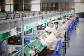 Công nhân làm việc tại Công ty TNHH New Wing Interconnect Technology, Khu công nghiệp Vân Trung, Bắc Giang. (Ảnh: Danh Lam/TTXVN) 