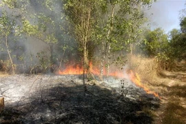 Hiện trường vụ cháy. (Ảnh: Đậu Tất Thành/TTXVN) 