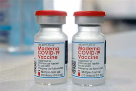 Vaccine ngừa COVID-19 của Moderna. (Ảnh: AFP/TTXVN)
