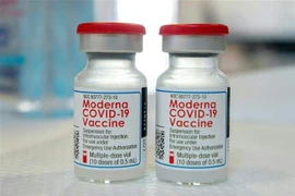 Vaccine ngừa COVID-19 của Moderna. (Ảnh: AFP/TTXVN)