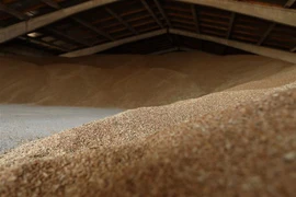 Kho chứa lúa mỳ tại Odessa, Ukraine ngày 14/6/2022. (Ảnh: AFP/TTXVN)