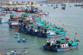 Tàu cá của ngư dân neo đậu tại Đầm Nại (huyện Ninh Hải, Ninh Thuận). (Ảnh: Nguyễn Thành/TTXVN) 