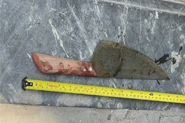 Tang vật gây án. (Ảnh: TTXVN phát) 