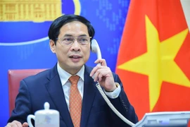 Bộ trưởng Bộ Ngoại giao Bùi Thanh Sơn điện đàm với Bộ trưởng Ngoại giao Liên bang Nga Sergey Lavrov. (Ảnh: TTXVN phát) 