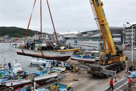 Tàu thuyền neo đậu tránh bão Khanun tại cảng Ulsan, Hàn Quốc ngày 8/8/2023. (Ảnh: Yonhap/TTXVN)