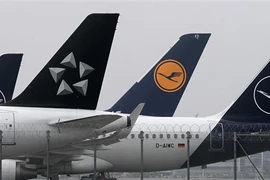 Máy bay của Hãng hàng không Đức Lufthansa. (Ảnh: AFP/TTXVN) 