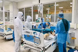 Bệnh viện Bệnh Nhiệt đới Trung ương điều trị cho bệnh nhân COVID-19. (Ảnh: TTXVN phát) 