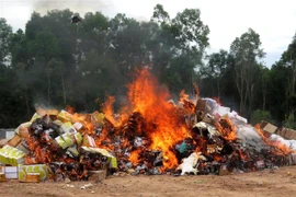 (Ảnh minh họa: Lê Ngọc Phước/TTXVN) 