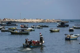 Ngư dân đánh bắt cá ở ngoài khơi thành phố Gaza, Dải Gaza ngày 18/6/2019. (Nguồn: AFP/TTXVN) 