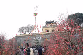 [Photo] Hoàng Thành Thăng Long thả cá chép, dựng cây nêu đón Xuân