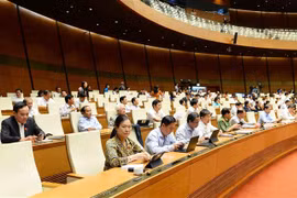 Các đại biểu tham dự một phiên họp. (Ảnh: Minh Đức/TTXVN) 