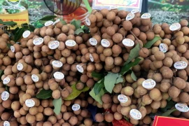 Nhãn lồng Hưng Yên được dán tem truy xuất nguồn gốc. (Ảnh: Đinh Văn Nhiều/TTXVN)