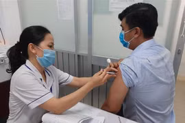 (Ảnh minh họa: Đức Hạnh/TTXVN) 