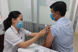 (Ảnh minh họa: Đức Hạnh/TTXVN) 