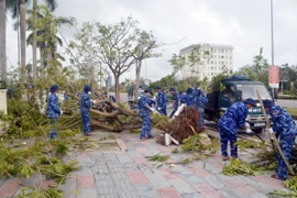 Lực lượng Cảnh sát biển dọn dẹp cây bị đổ quận Hải An, thành phố Hải Phòng. (Ảnh: Hoàng Ngọc/TTXVN)