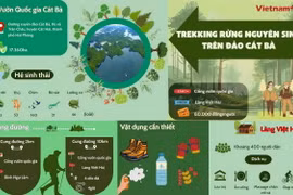 Trải nghiệm cung đường trekking 10km rừng nguyên sinh trên đảo Cát Bà