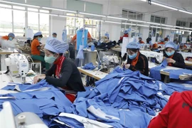 (Ảnh minh họa: Trần Việt/TTXVN) 