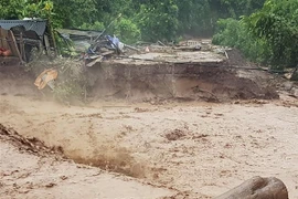 (Ảnh minh họa: Xuân Tư/TTXVN) 