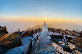 Sương muối phủ trắng đỉnh Fansipan (Lào Cai). (Ảnh: TTXVN phát) 