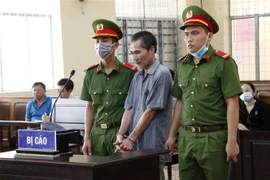 Bị cáo Lê Văn Thảo tại phiên tòa. (Ảnh: Kim Há/TTXVN) 