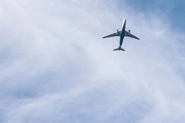 Ảnh minh họa. (Nguồn: dailyexpertnews.com) 