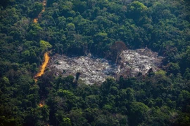 Khoảng rừng Amazon bị chặt phá tại Altamira, bang Para, Brazil, ngày 28/8/2019. (Ảnh: AFP/TTXVN) 