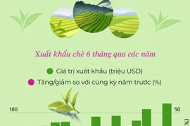 Xuất khẩu chè tăng 30% trong 6 tháng năm 2024