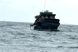 Ảnh minh họa. (Nguồn: TTXVN phát)