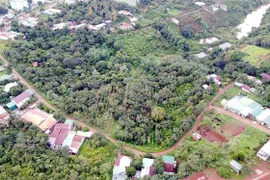 (Ảnh minh họa: Hưng Thịnh/TTXVN)