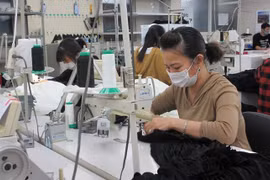 Một thực tập sinh Việt Nam tại Nhật Bản. (Ảnh: Đào Thanh Tùng/TTXVN)