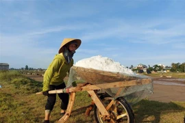 Nắng nóng trên diện rộng kéo dài ảnh hưởng lớn đến sức khỏe, đặc biệt là người già và trẻ em. (Ảnh: Bích Huệ/TTXVN) 