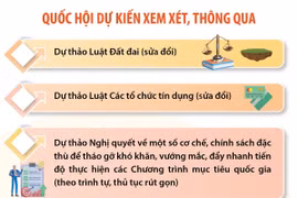 Những nội dung chính của Kỳ họp bất thường lần thứ 5, Quốc hội khóa XV