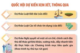 Những nội dung chính của Kỳ họp bất thường lần thứ 5, Quốc hội khóa XV